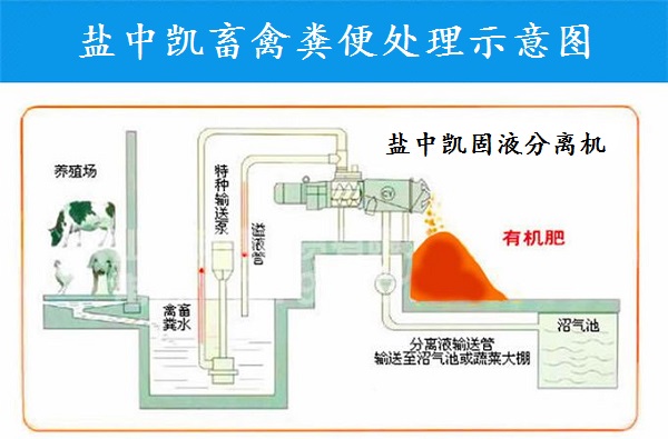 好色先生污在线观看
